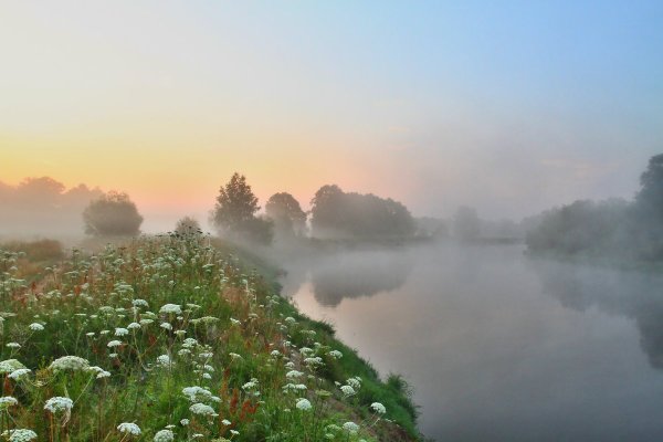 Утренний туман