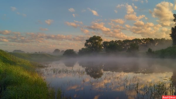 Туман над озером