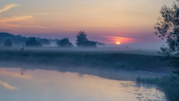 Рассвет в поле
