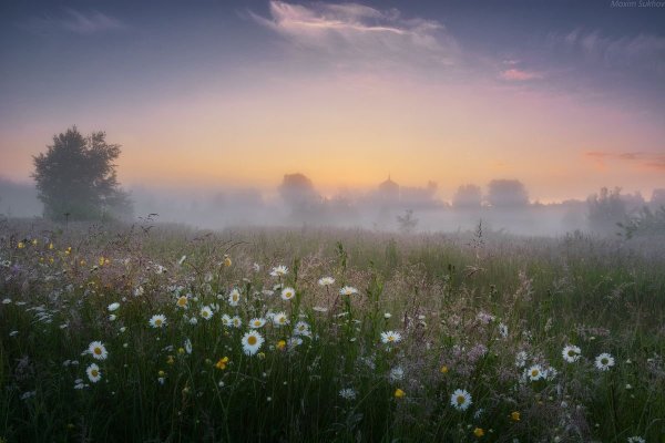 Утренний летний туман