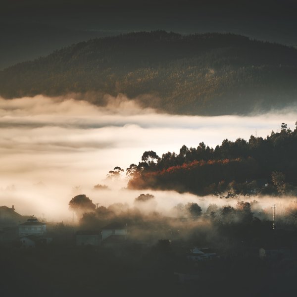 Река Шерна туман