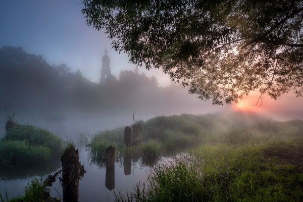 Утренний туман