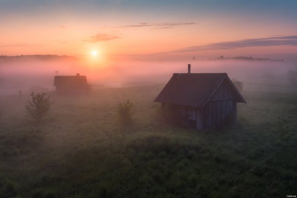 Туманное утро