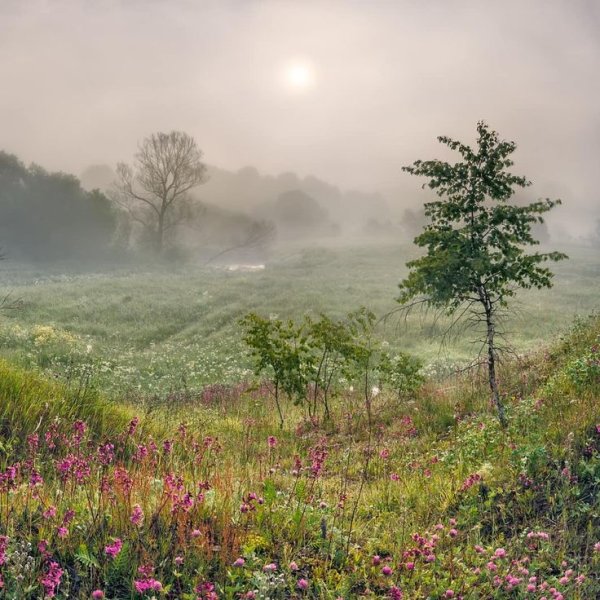 Утренний пейзаж