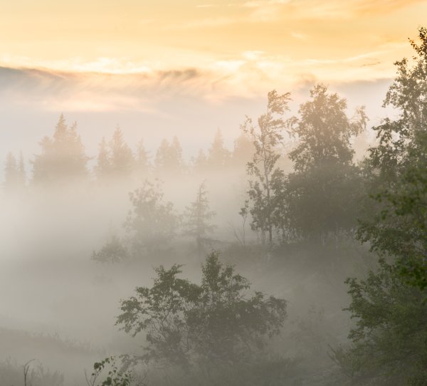 Пейзажи природы