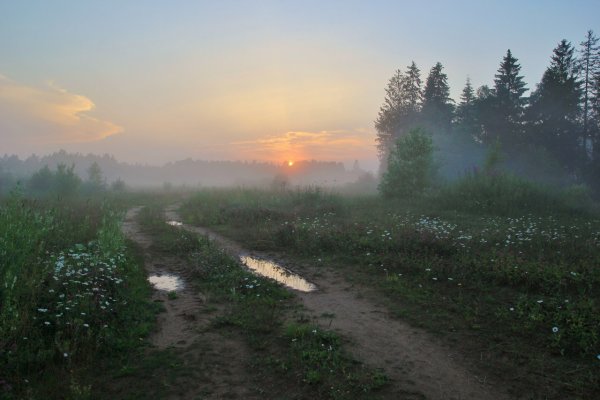 Туман в поле