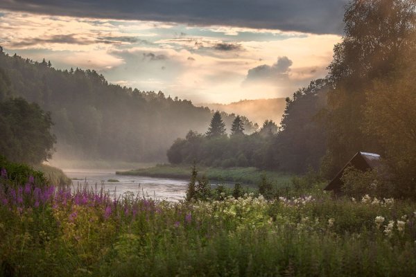 Утро на берегу реки