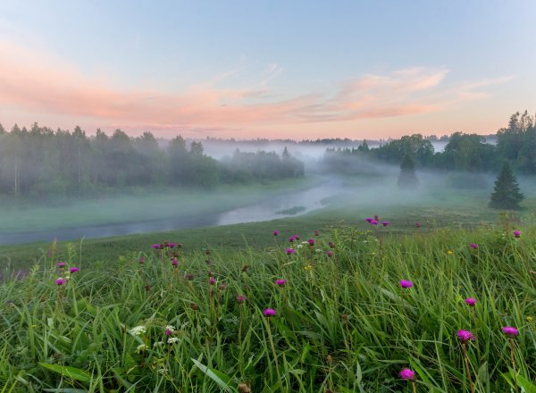 Майское утро Красноярский край