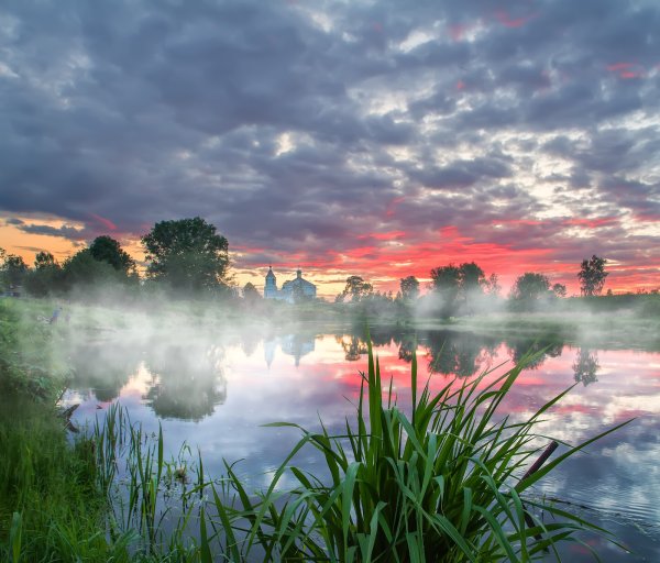 Лето утро туман