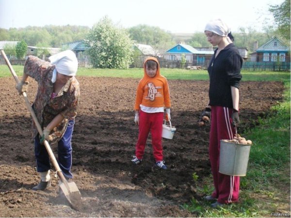 Пахать грядки