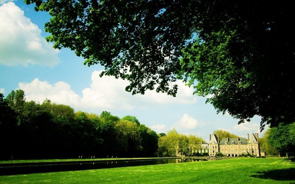 Фон парк зелень