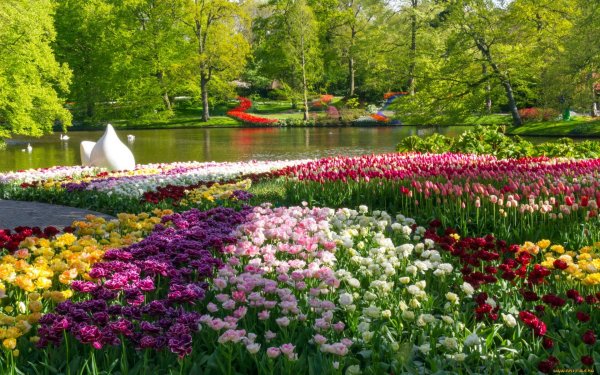 Парк «Кекенхоф» (Keukenhof) летом