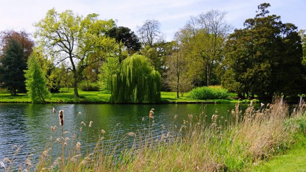 Измайловский парк пруд