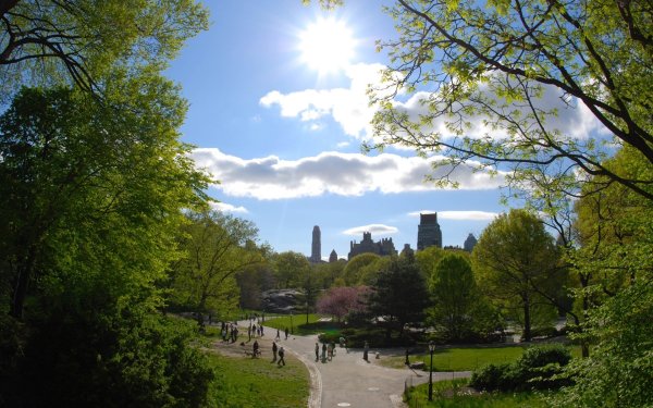 Центральный парк Нью-Йорка газон