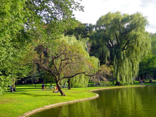 Пейзажный парк Франции