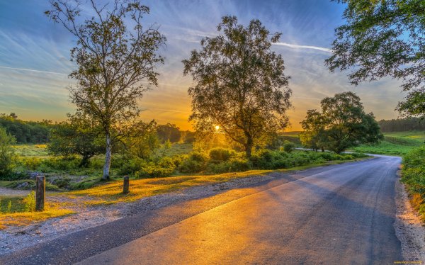 Природный пейзаж с дорогой