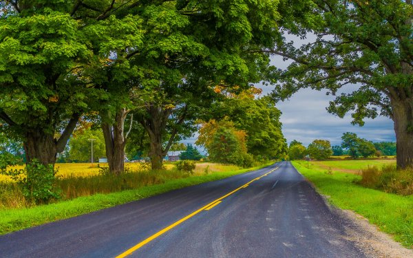 Летняя дорога