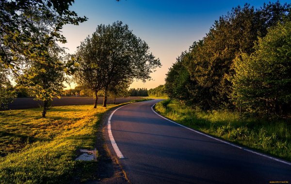 Природа дорога