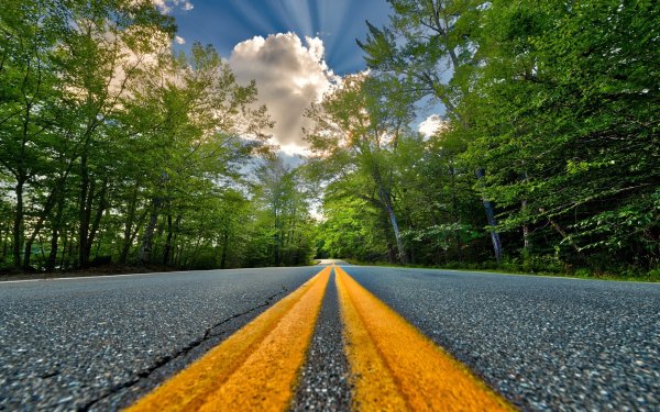 Природа дорога