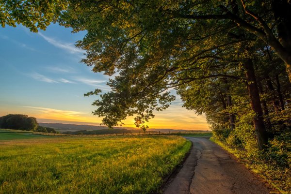 Летний пейзаж с дорогой
