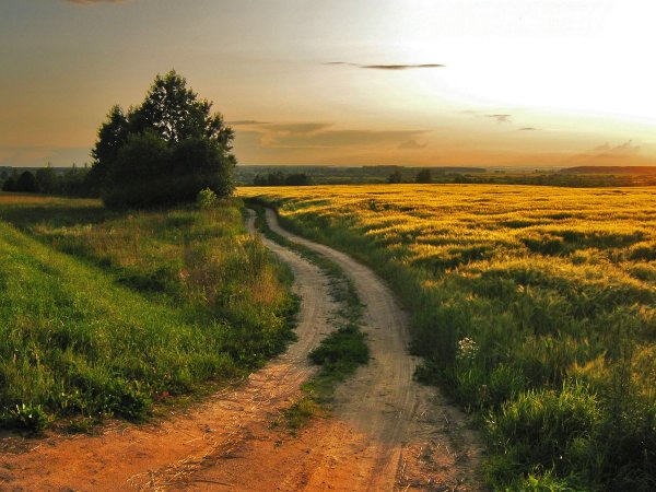 Россия Проселочная дорога