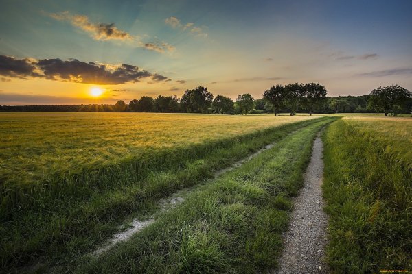 Поле с дорогой