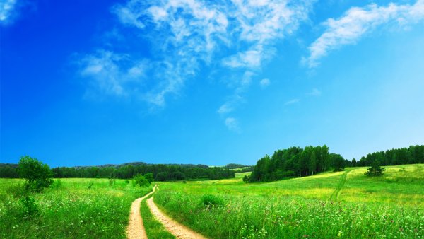 Природа дорога