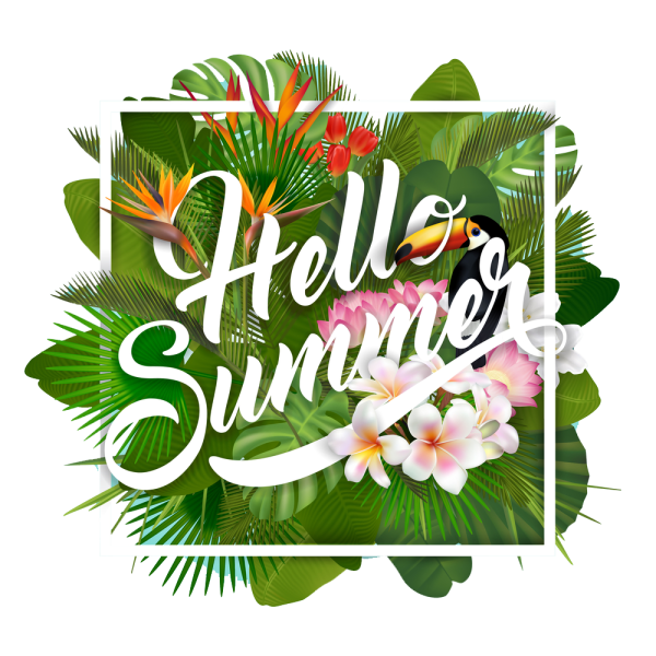 Hello Summer обои