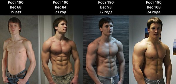 Базилио freshlife28