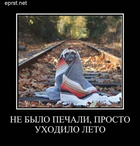 Приколы уходящего лета