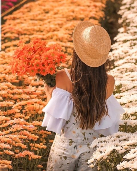 Лето Вернись