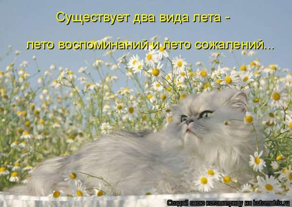 Лето пришло