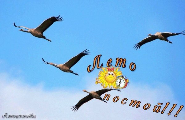 Лето постой не уходи