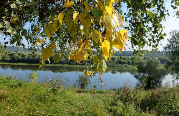 Скоро конец лета