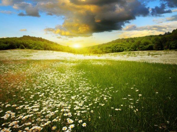 Река солнце