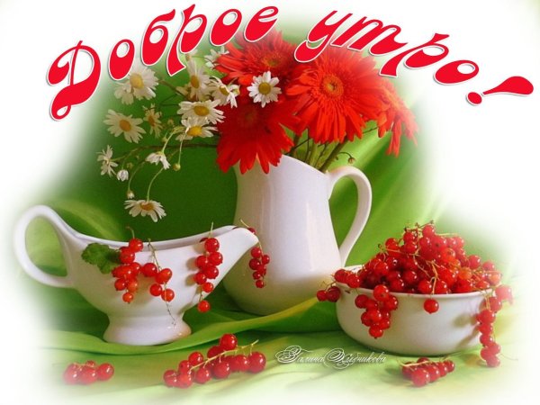 Доброго летнего утра и хорошего дня
