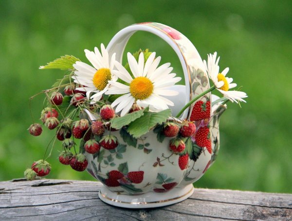 Чудесного летнего дня