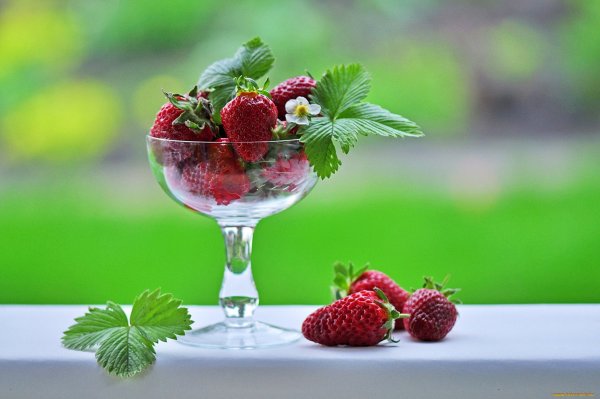 С добрым утром