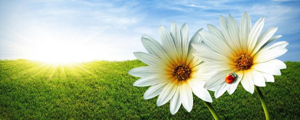 Красивые счастливые глаза