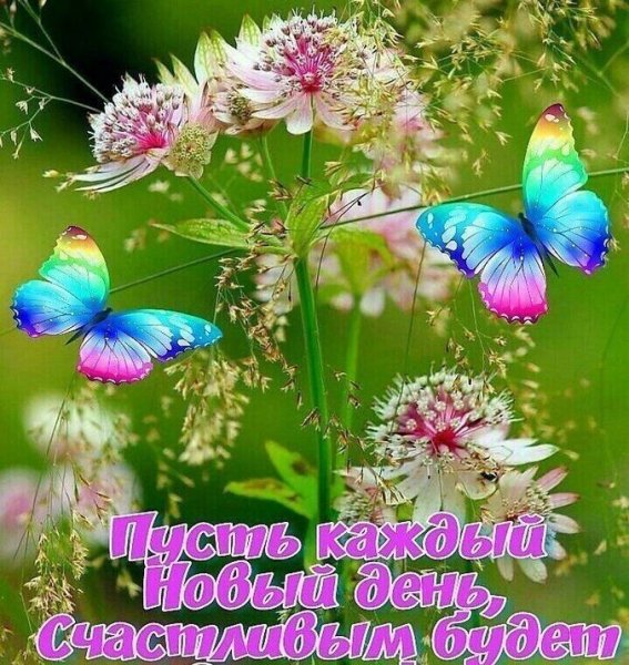 Доброе солнечное утро