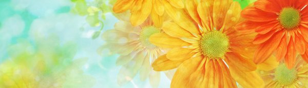 Яркого летнего дня