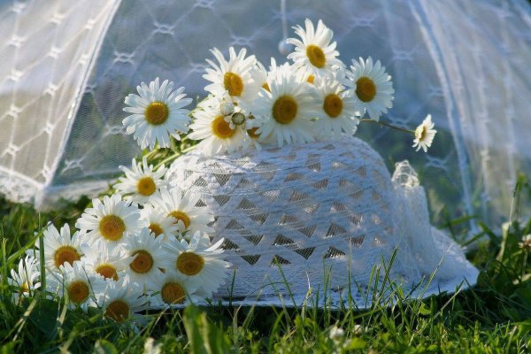 Завтра лето