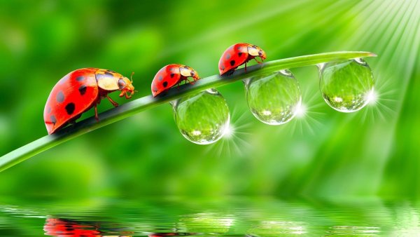 Красоты России