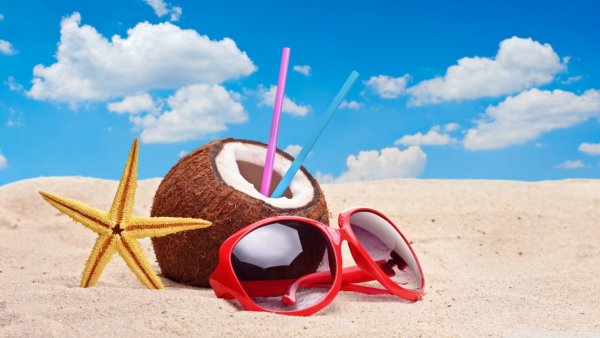 Гамак на Пальме