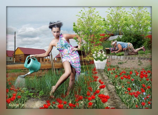 Анекдоты про дачу в картинках