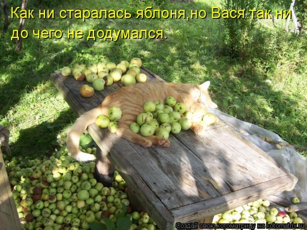 Удачного дачного сезона