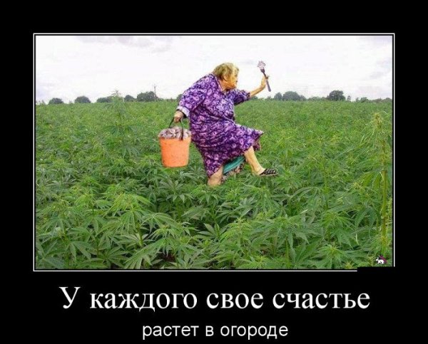 Доброе утро шашлык