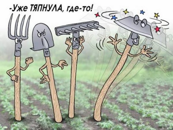 Анекдоты про огород