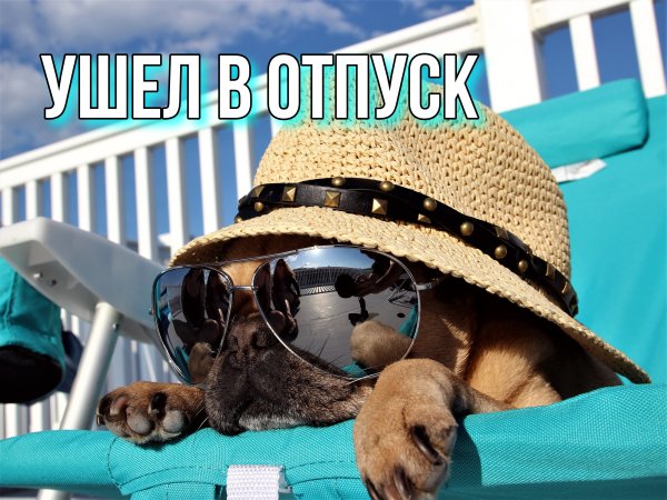 Карикатуры про отпуск