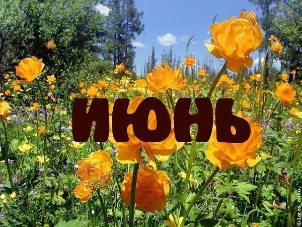 Приколы про лето